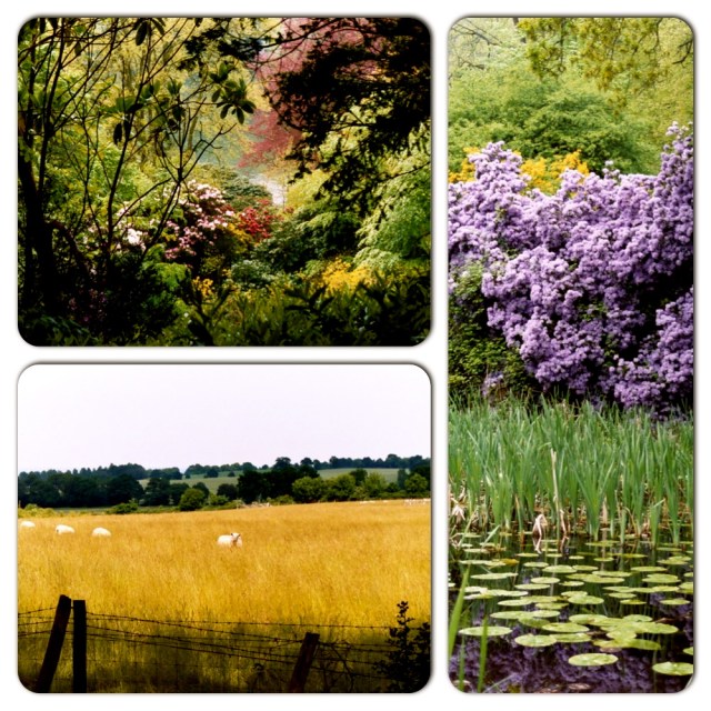 Stourhead's colourful environs