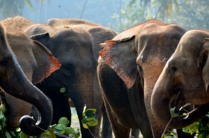 up close and personal