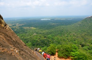 what goes up must go down the narrow caged in stairs! 