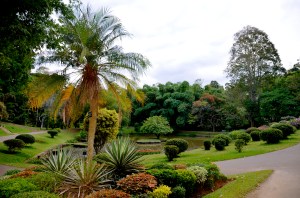 the gardens