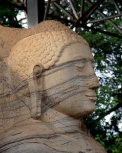 close up of standing Buddha at Gal Vihara