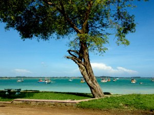 fishing villiage, Weligama Bay